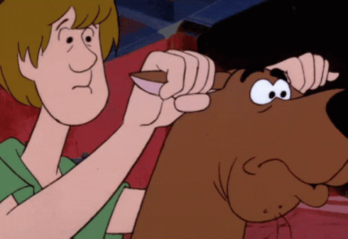 Shaggy Scooby Doo GIF Shaggy Scooby Doo GIF