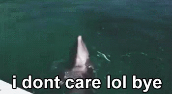 Dolphin IDont Care Lol Bye GIF