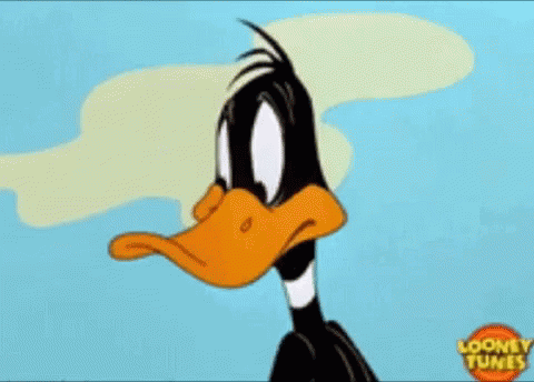 Daffy Duck GIF Daffy Duck GIF