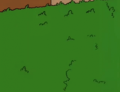 Nope Wtf GIF Nope Wtf GIF