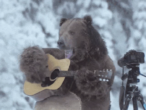 Bear Guitar GIF Bear Guitar GIF