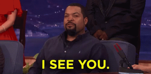 ISee You Ice Cube GIF