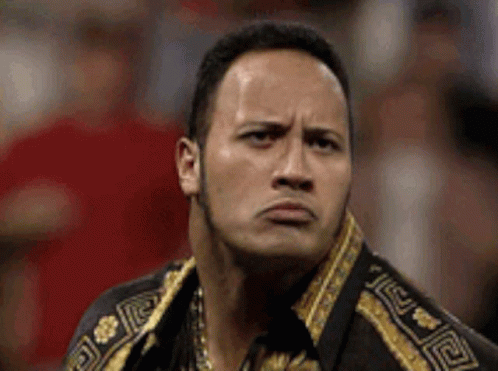 The Rock GIF The Rock GIF