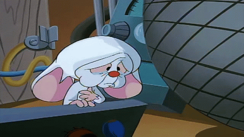 Brain Pinky GIF Brain Pinky GIF