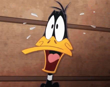 Looney Tunes Daffy GIF