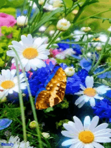 White Blue GIF - White Blue Flowers GIFs