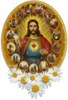 Visualizza immagine di origine