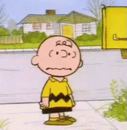 Peanuts Charlie Brown GIF Peanuts Charlie Brown GIF