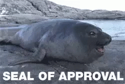 Approved GIF