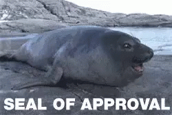Approved GIF Approved GIF