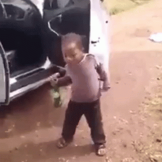 Party Going Crazy GIF Party Going Crazy GIF