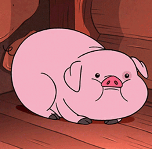 Gravity Falls Waddles GIF Gravity Falls Waddles GIF