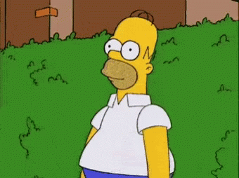 Homer Simpson Bush GIF Homer Simpson Bush GIF