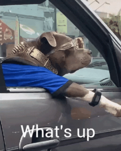 Hi Hello There GIF Hi Hello There GIF