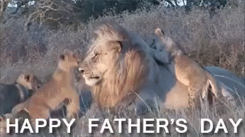 Happy Father's Day GIF