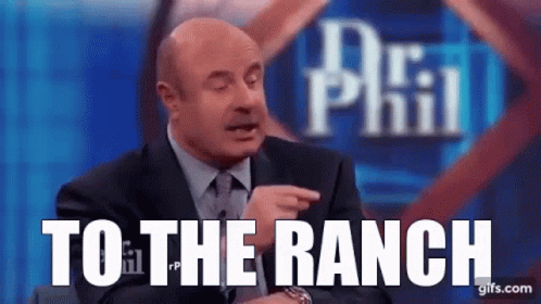 Dr Phil Meme GIF Dr Phil Meme GIF