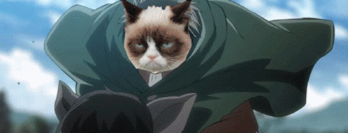 Cat Awesome Paws GIF Cat Awesome Paws GIF