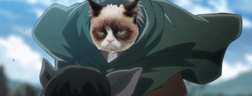 Cat Awesome Paws GIF