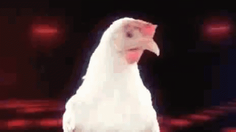 Youre AChicken Chicken Dance GIF