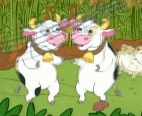 Dancing Cow GIF Dancing Cow GIF