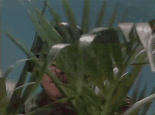 Arte Johnson Very Interesting GIF Arte Johnson Very Interesting GIF