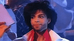 Prince Sassy GIF Prince Sassy GIF