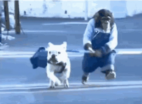 Tana Chasing Dog GIF Tana Chasing Dog GIF