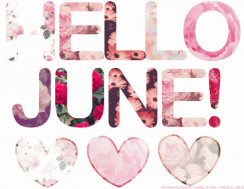 Hello June First Day Of June GIF