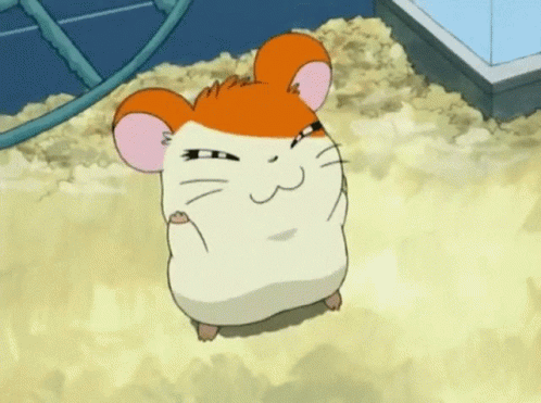 Hamtaro Cute GIF Hamtaro Cute GIF