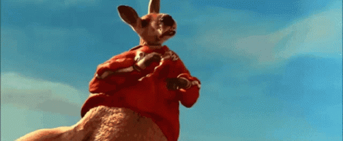 Kangaroo Jack Nice GIF Kangaroo Jack Nice GIF