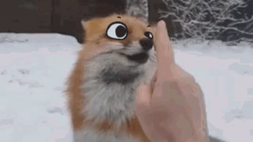 No Sleep GIF No Sleep GIF