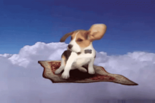 Puppy Day GIF Puppy Day GIF