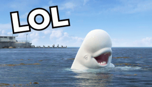 Lol Funny GIF Lol Funny GIF