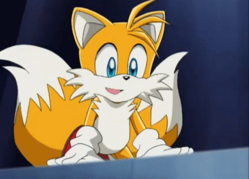 Sonic X Tails Happy Tails GIF