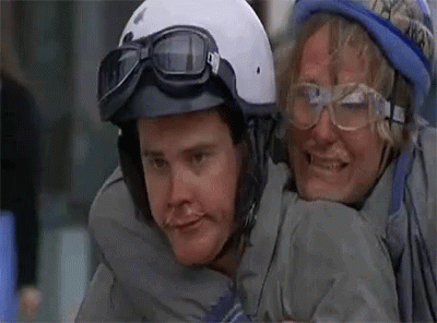 Cold Dumbanddumber GIF Cold Dumbanddumber GIF