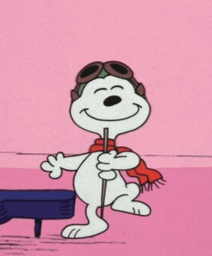 Dancing Happy GIF Dancing Happy GIF