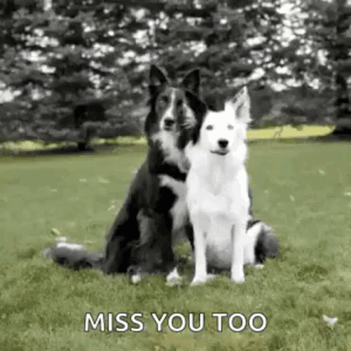 Youre So Sweet Miss You Too GIF Youre So Sweet Miss You Too GIF