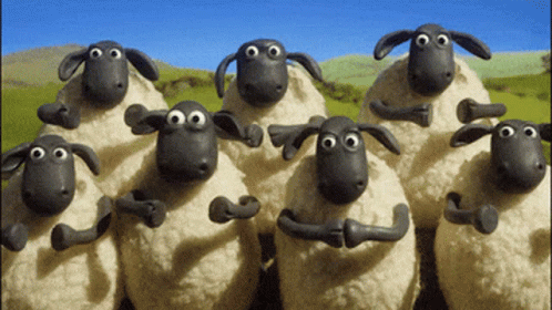 The Sheeps Shaun The Sheep GIF
