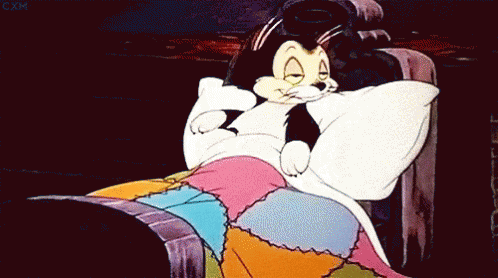 Sleepy Kitty GIF Sleepy Kitty GIF