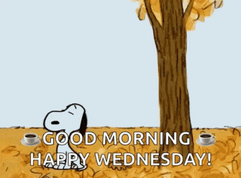 Fall Fall Season GIF Fall Fall Season GIF