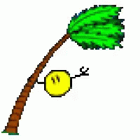 Hurricane Irma GIF Hurricane Irma GIF