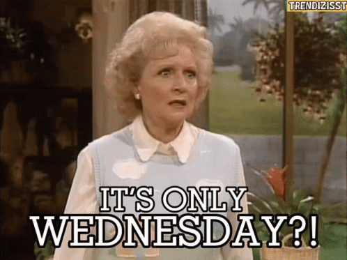 Wednesday Hump Day GIF Wednesday Hump Day GIF