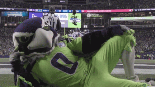 Seattle Seahawks Blitz GIF Seattle Seahawks Blitz GIF