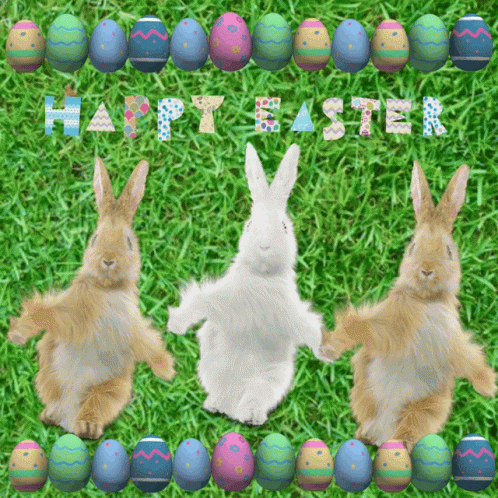 Tang916 Happy Easter GIF Tang916 Happy Easter GIF