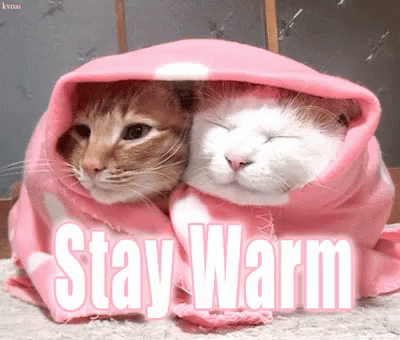 Stay Warm GIF Stay Warm GIF