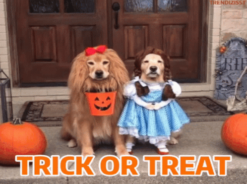 Halloween Trick Or Treat GIF Halloween Trick Or Treat GIF