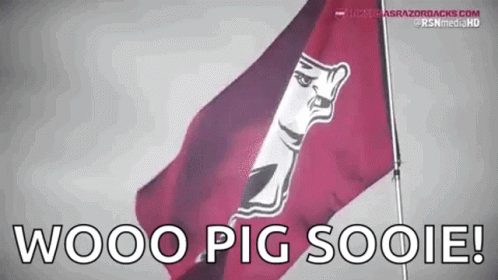 Arkansas Wps GIF Arkansas Wps GIF