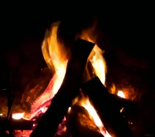 cozy camp fire GIF