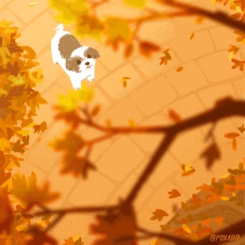 oliviawhen dog dogs autumn corgi GIF