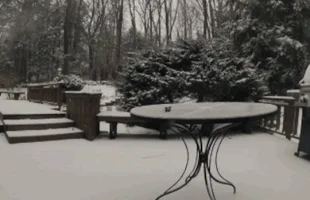 snow motion GIF